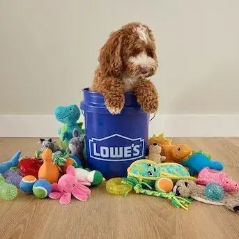 Juguete de Peluche para Perros con Forma de Cerdito